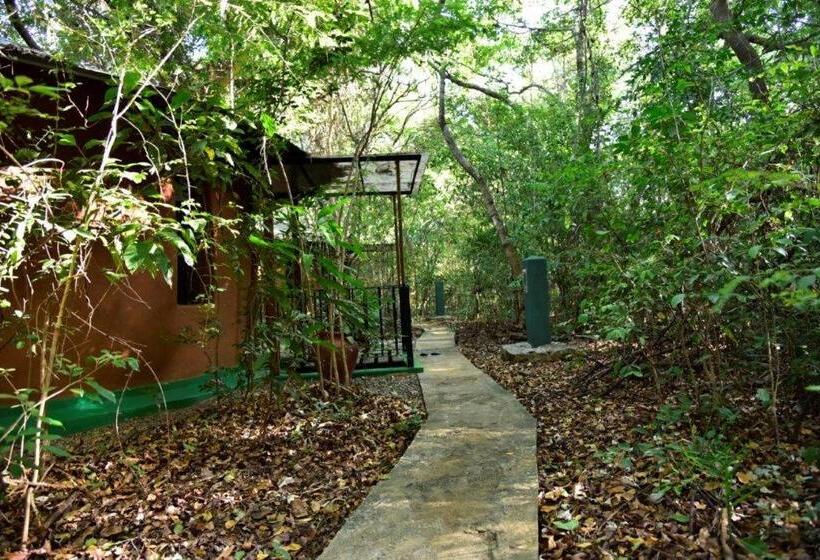 带大床的标准间, Akein Jungle Resort Sigiriya