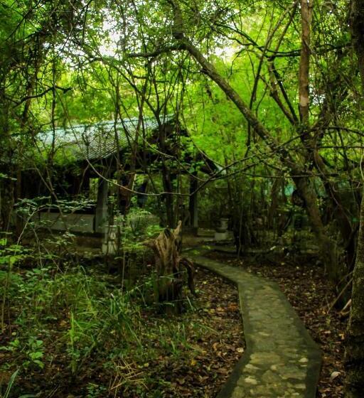 经济房, Akein Jungle Resort Sigiriya