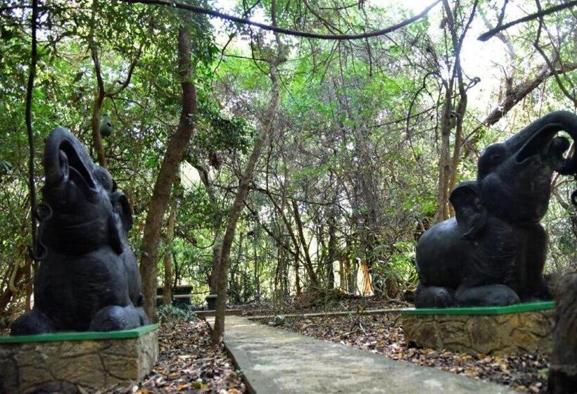 经济房, Akein Jungle Resort Sigiriya