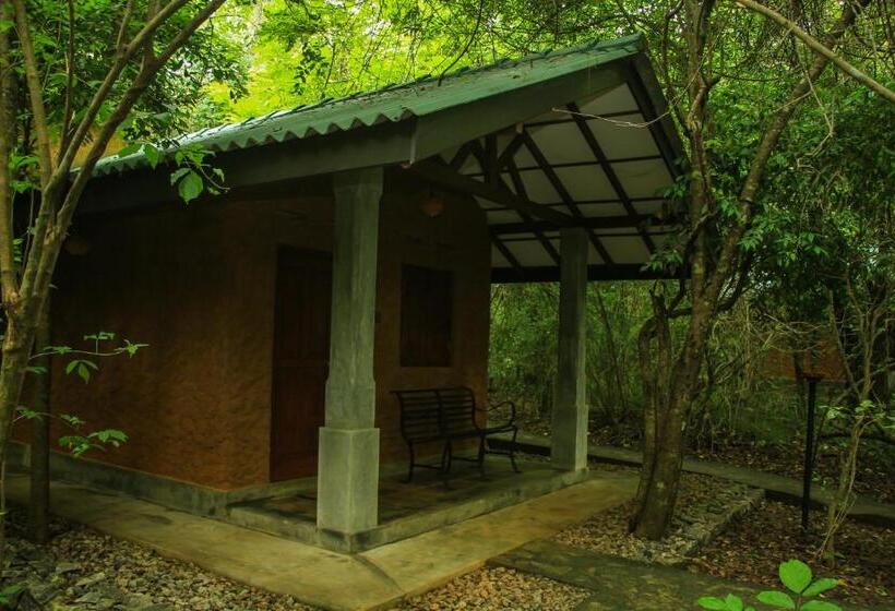 经济房, Akein Jungle Resort   Sigiriya
