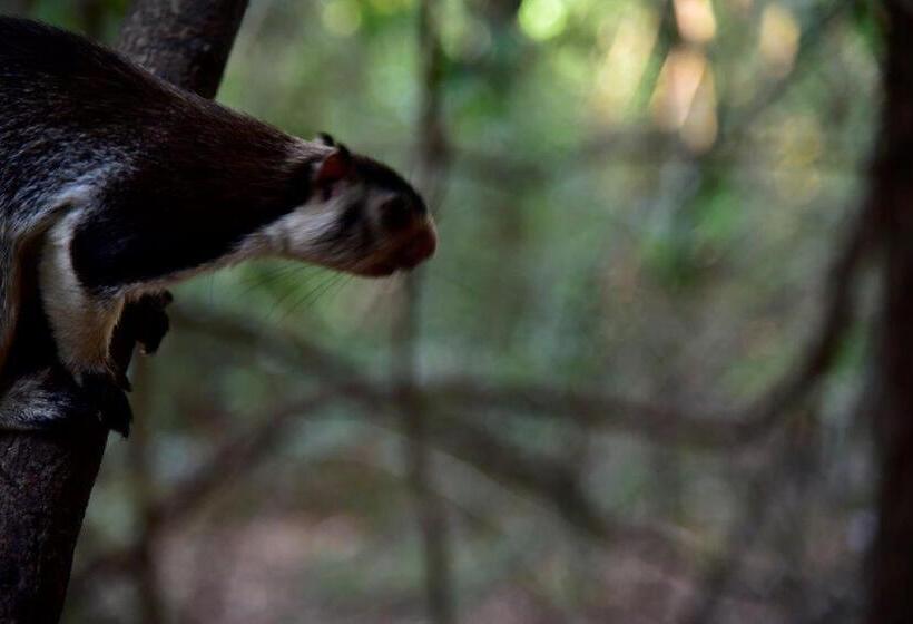 家庭间, Akein Jungle Resort Sigiriya