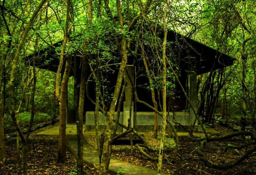 غرفة قياسية مطلّة علي الحديقة, Akein Jungle Resort   Sigiriya