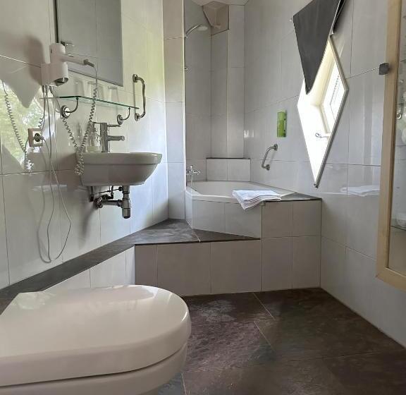 豪华房间, De Watertoren