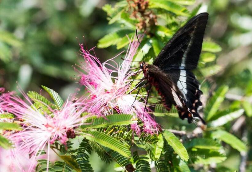 شاليه غرفة نوم واحدة, Pousada Estância Rio Acima