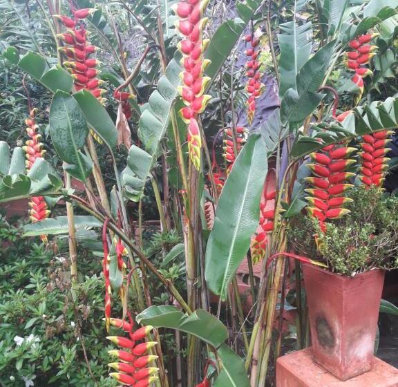 شاليه سوبيريور غرفة نوم واحدة, Pousada Estância Rio Acima