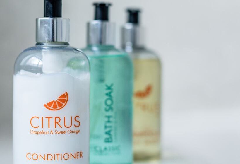 패밀리 룸, The Waterfront