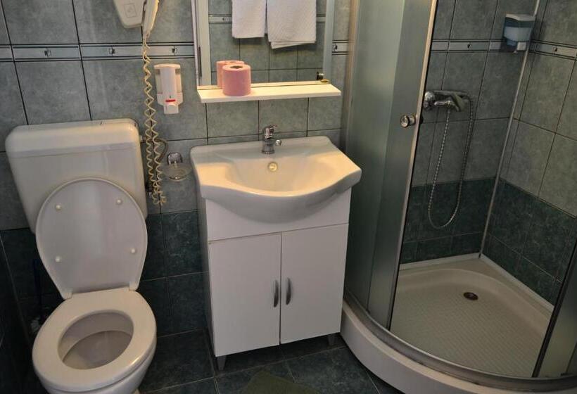 חדר סטנדרט, Pensiunea Alexander