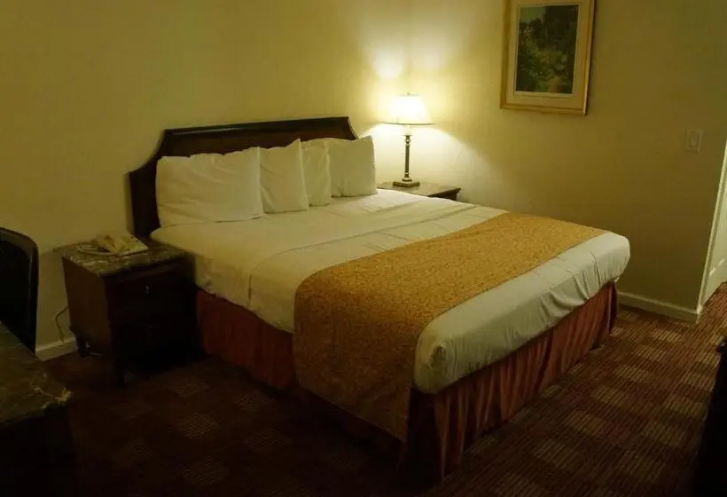 キングサイズベッドのスタンダードルーム, Waterford Inn