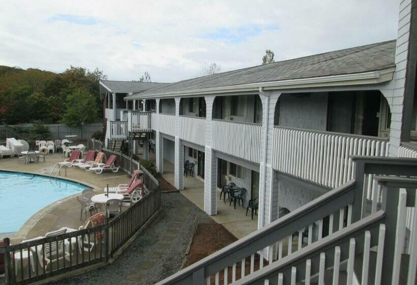 إستوديو قياسى, Eastwood At Provincetown