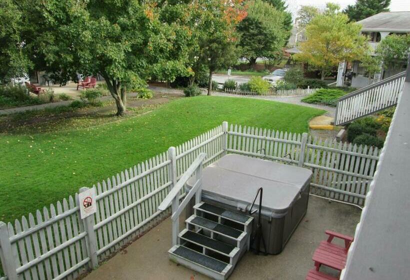 إستوديو قياسى, Eastwood At Provincetown