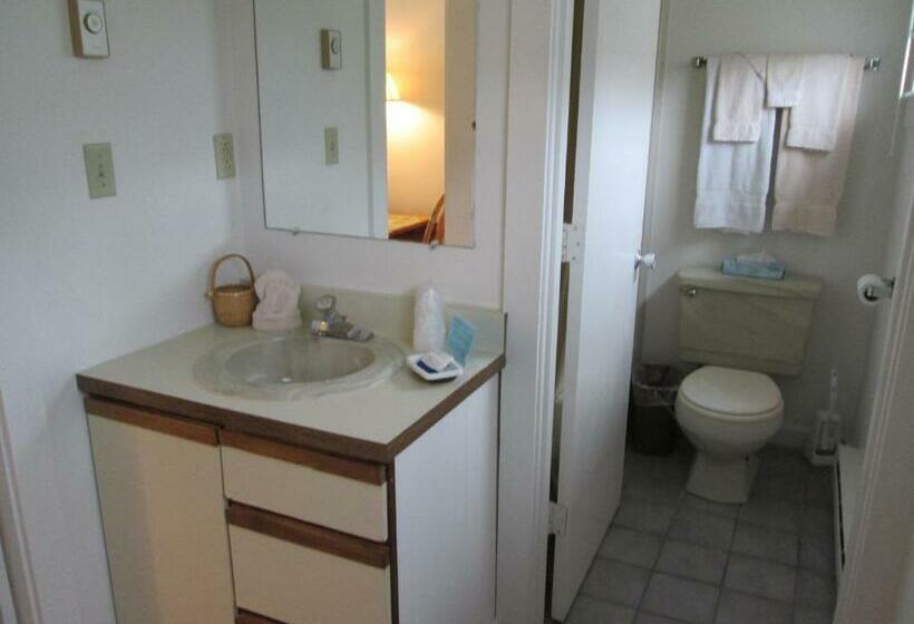 إستوديو قياسى, Eastwood At Provincetown