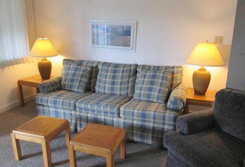 شقة غرفة واحدة, Eastwood At Provincetown