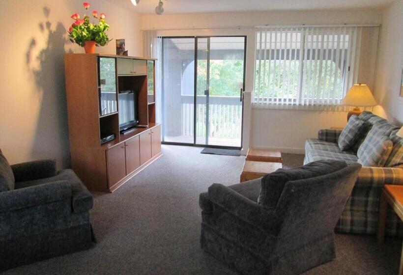 شقة غرفة واحدة, Eastwood At Provincetown