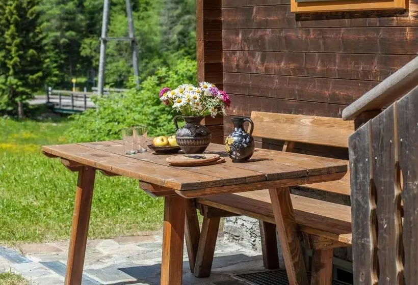 １ベッドルームハウス, Gasserhütte
