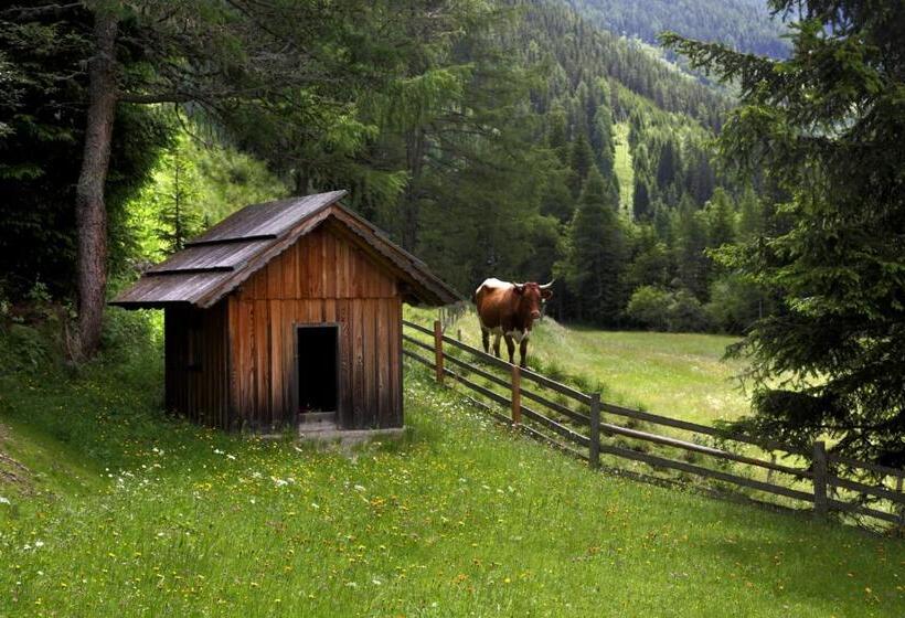 2ベッドルームアパートメント, Gasserhütte