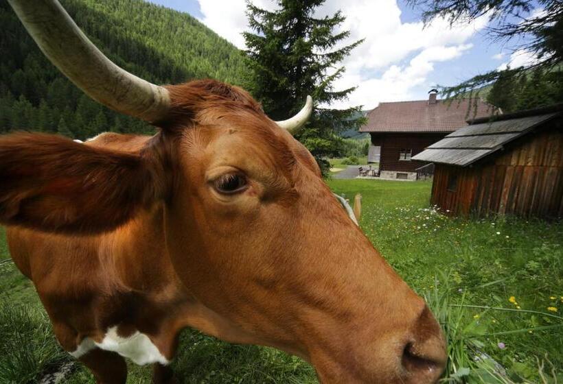 バルコニー付2ベッドルームアパートメント, Gasserhütte