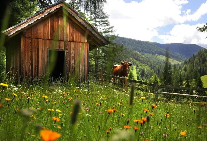 バルコニー付２ベッドルームアパートメント, Gasserhütte