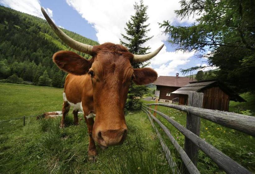 バルコニー付2ベッドルームアパートメント, Gasserhütte