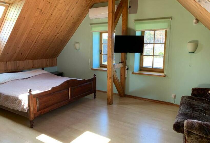 آپارتمان 1 خوابه, Inkaro Kaimas