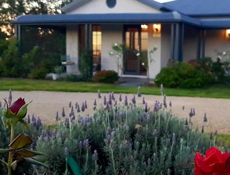 جناح ديلوكس, Red Door Collective   Rdc Vineyard Estate, Luxury Adult Only Stay