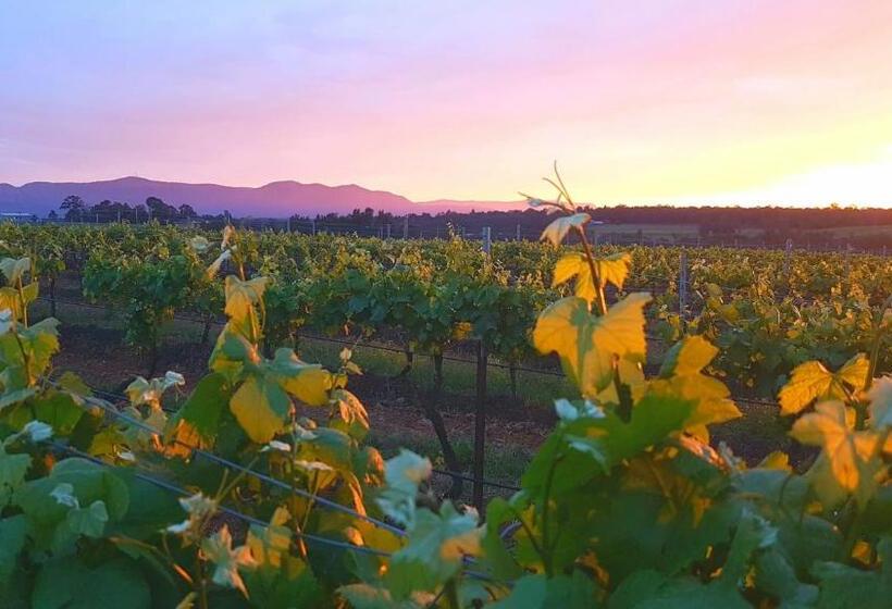 جناح ديلوكس, Red Door Collective   Rdc Vineyard Estate, Luxury Adult Only Stay