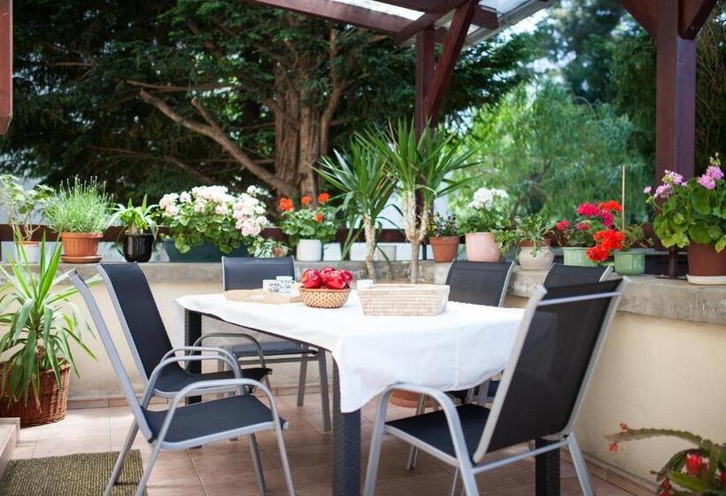 スタンダード４人部屋, Villa Cecile