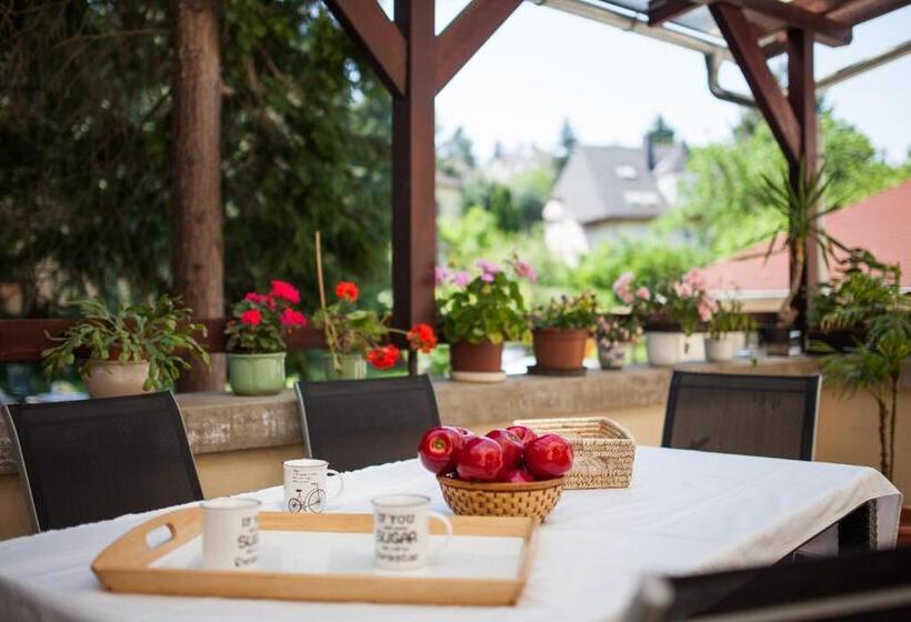 スタンダード４人部屋, Villa Cecile