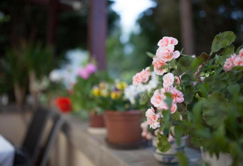 スタンダード４人部屋, Villa Cecile