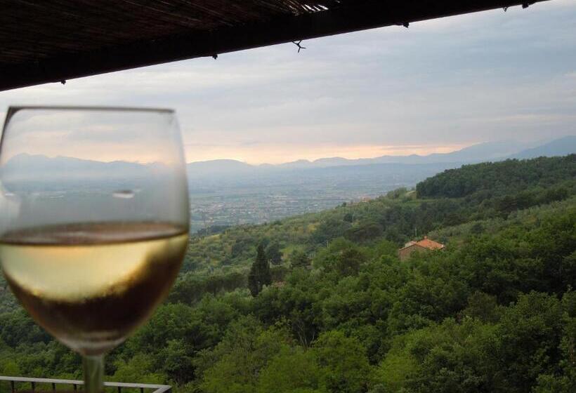 Апартаменты 1 Спальня, Agriturismo Borgo La Casetta