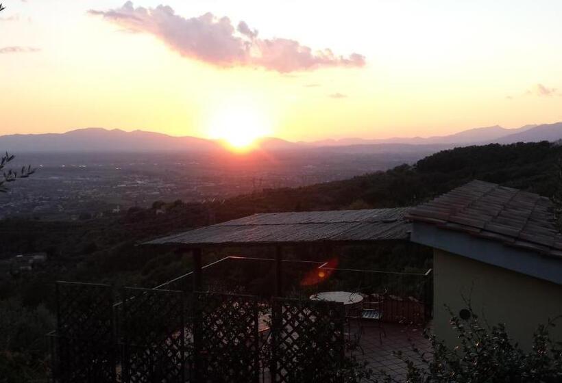 Апартаменты 1 Спальня, Agriturismo Borgo La Casetta