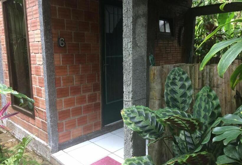 Номер Deluxe с Балконом, Pousada Do Oasis