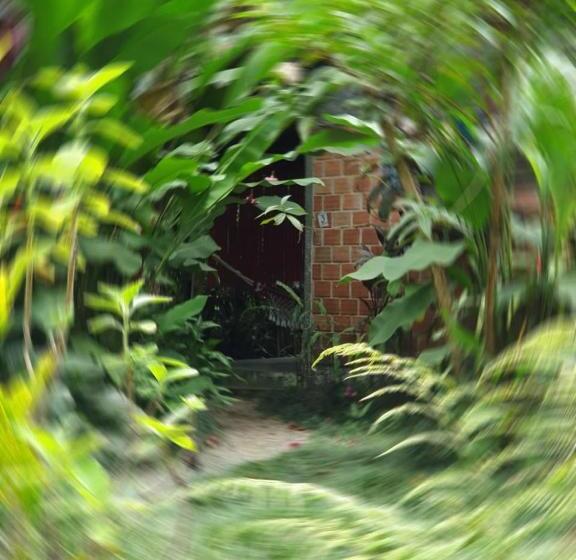 Номер Deluxe с Балконом, Pousada Do Oasis