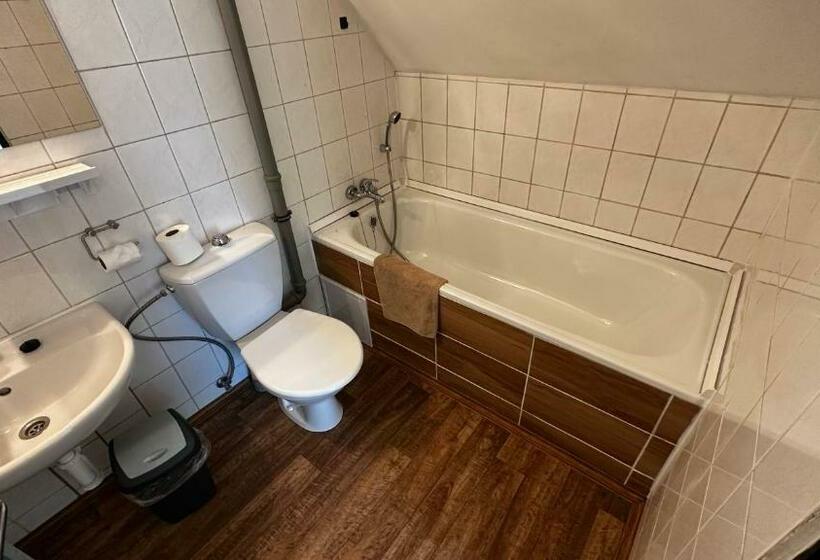 غرفة قياسية, Pension Plestil