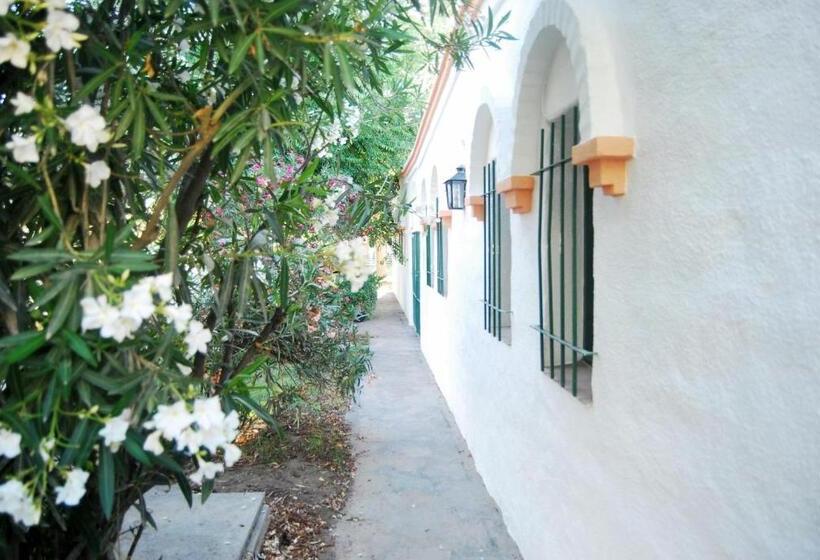 ２ベッドルームアパートメント, Ruca Hue