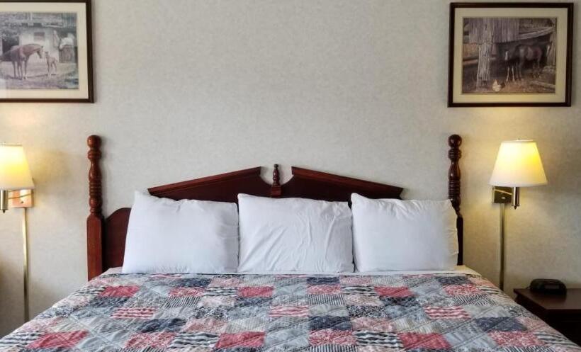 غرفة قياسية سرير كينج, Americas Inn Bardstown