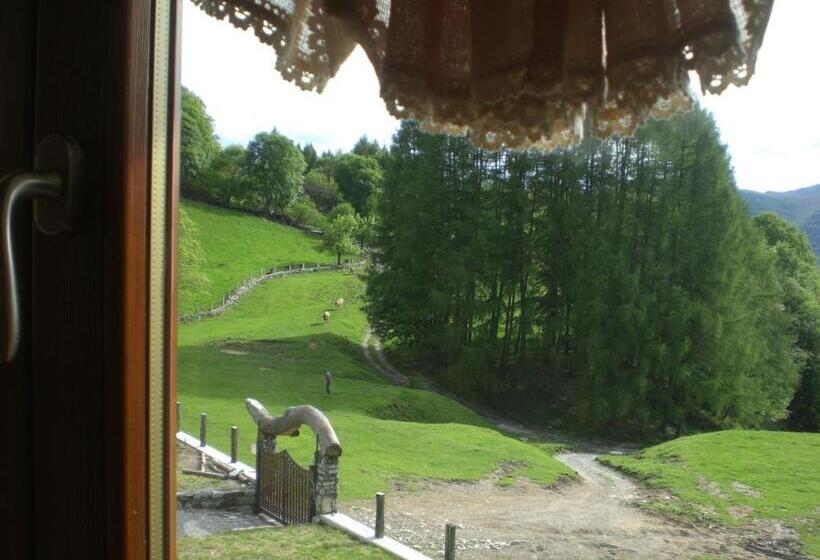 舒适型房间, Agriturismo Le Radici