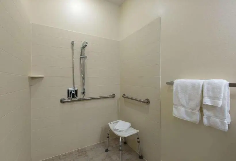 اتاق استاندارد با تخت بزرگ برای معلولان, Americinn By Wyndham Sioux Falls North