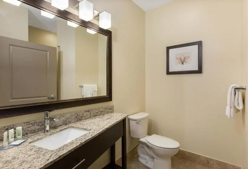 اتاق استاندارد با تخت بزرگ, Americinn By Wyndham Sioux Falls North