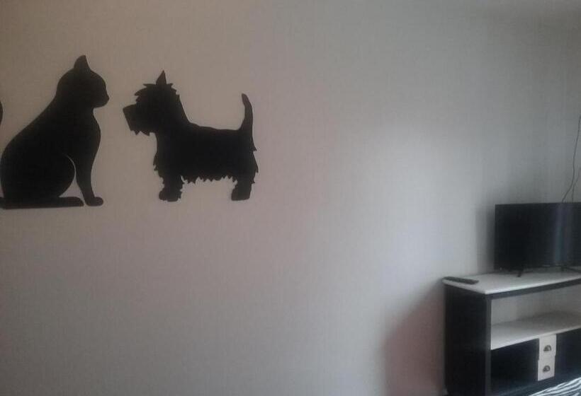 スタンダードルーム, Hostal La Carretera