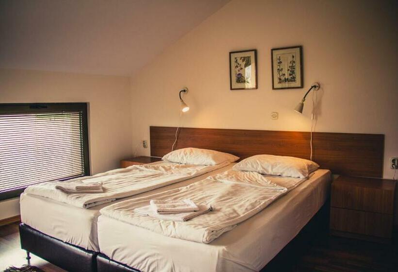 اتاق استاندارد, Oaza Inn