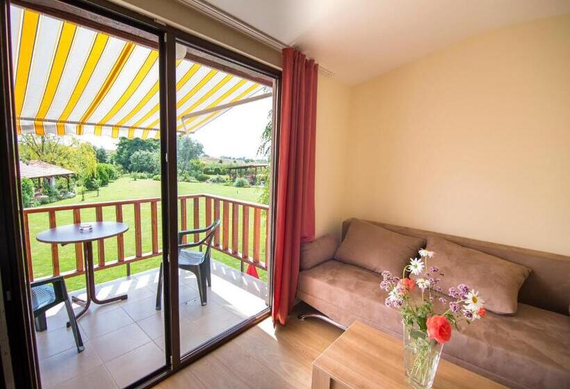 اتاق استاندارد با بالکن, Oaza Inn