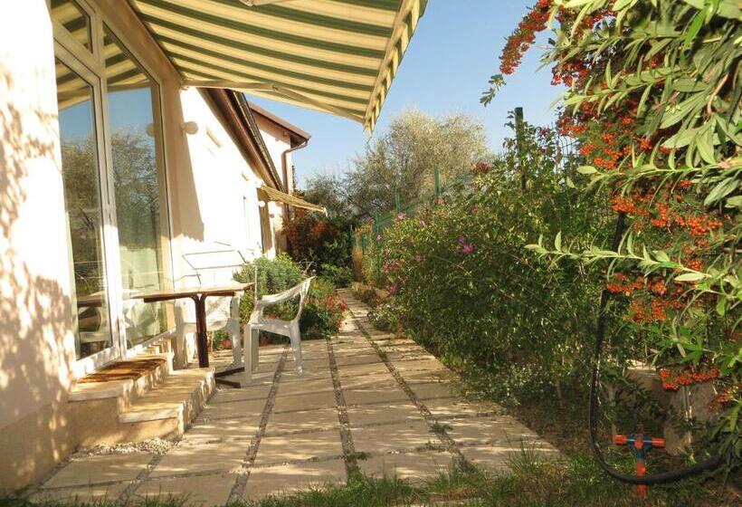 آپارتمان خانوادگی, Oaza Inn