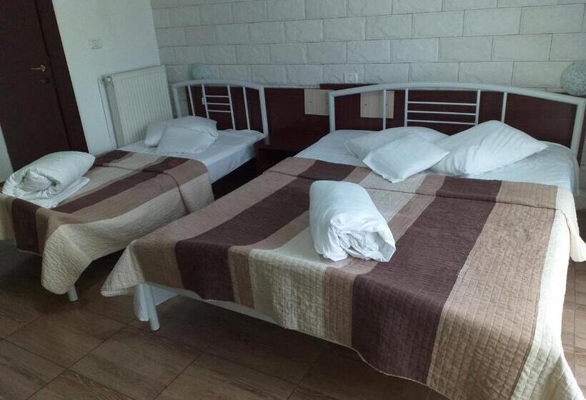 Номер Стандарт Трехместный, Pensiunea Johanna