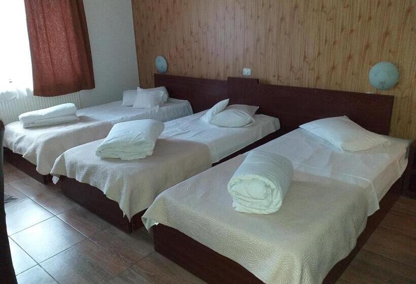 Номер Стандарт Трехместный, Pensiunea Johanna