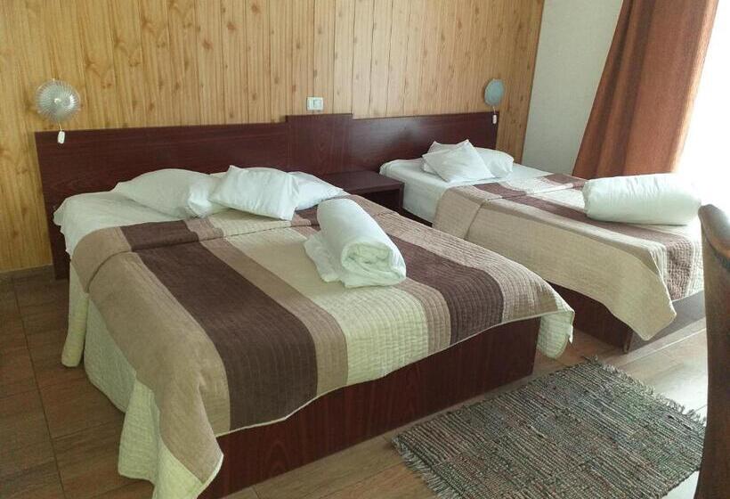 Номер Стандарт Трехместный, Pensiunea Johanna