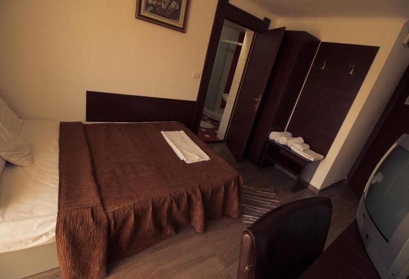 Номер Economy Индивидуальный, Pensiunea Johanna