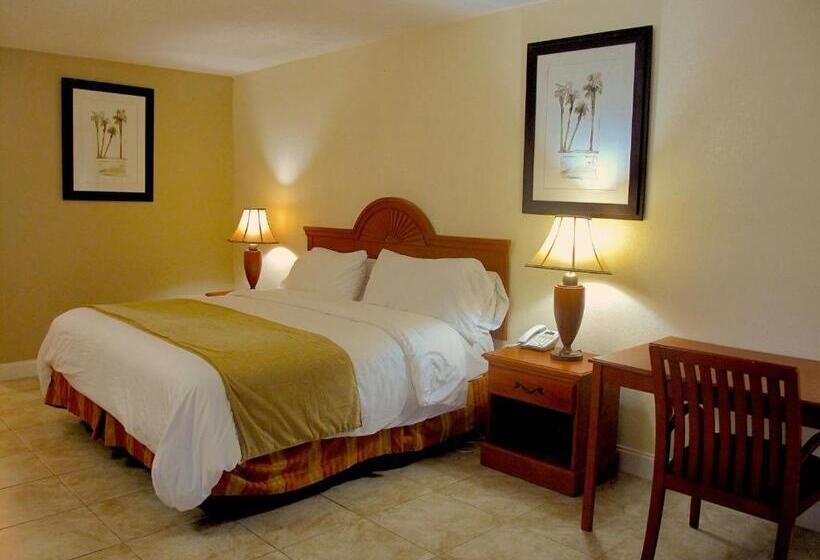 غرفة قياسية سرير كينج, Boca Inn