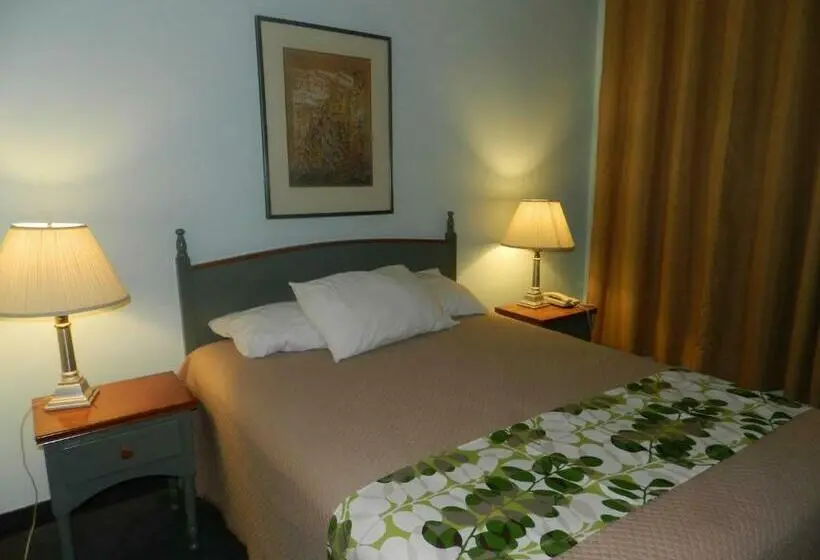 スタンダードルーム, L'auberge De L'aeroport Inn