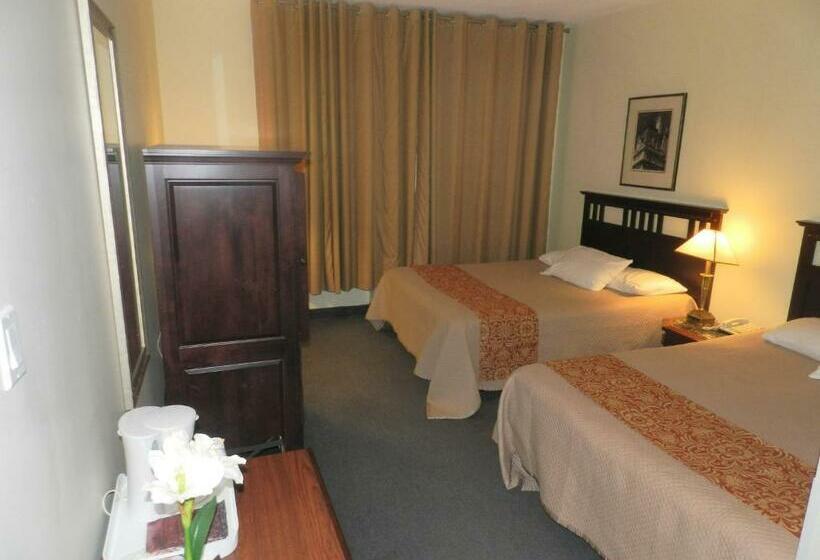 スタンダードルーム, L'auberge De L'aeroport Inn