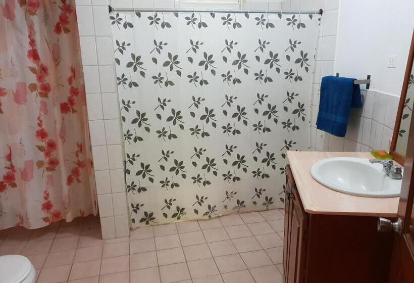 تختخواب در اتاق مشترک, Gipsy Ranch Rooms